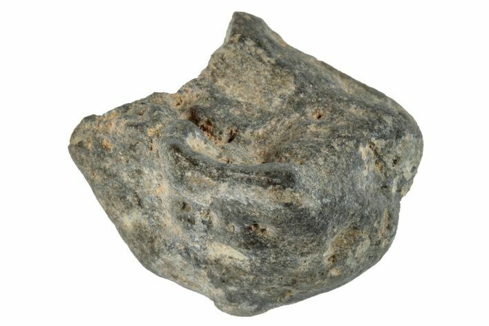 Lunar Meteorite ( g) - Laayoune #281508